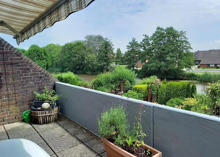 Strandflieder Dornumersiel